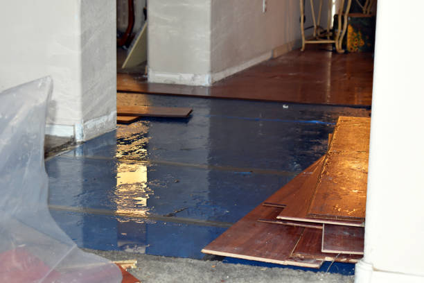 Professional Basement Flood Cleanup technician working in Puyallup, WA